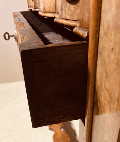 SMALL ANTIQUE BURR WALNUT CABINET ON STAND - ADDITIONAL PHOTO 4
