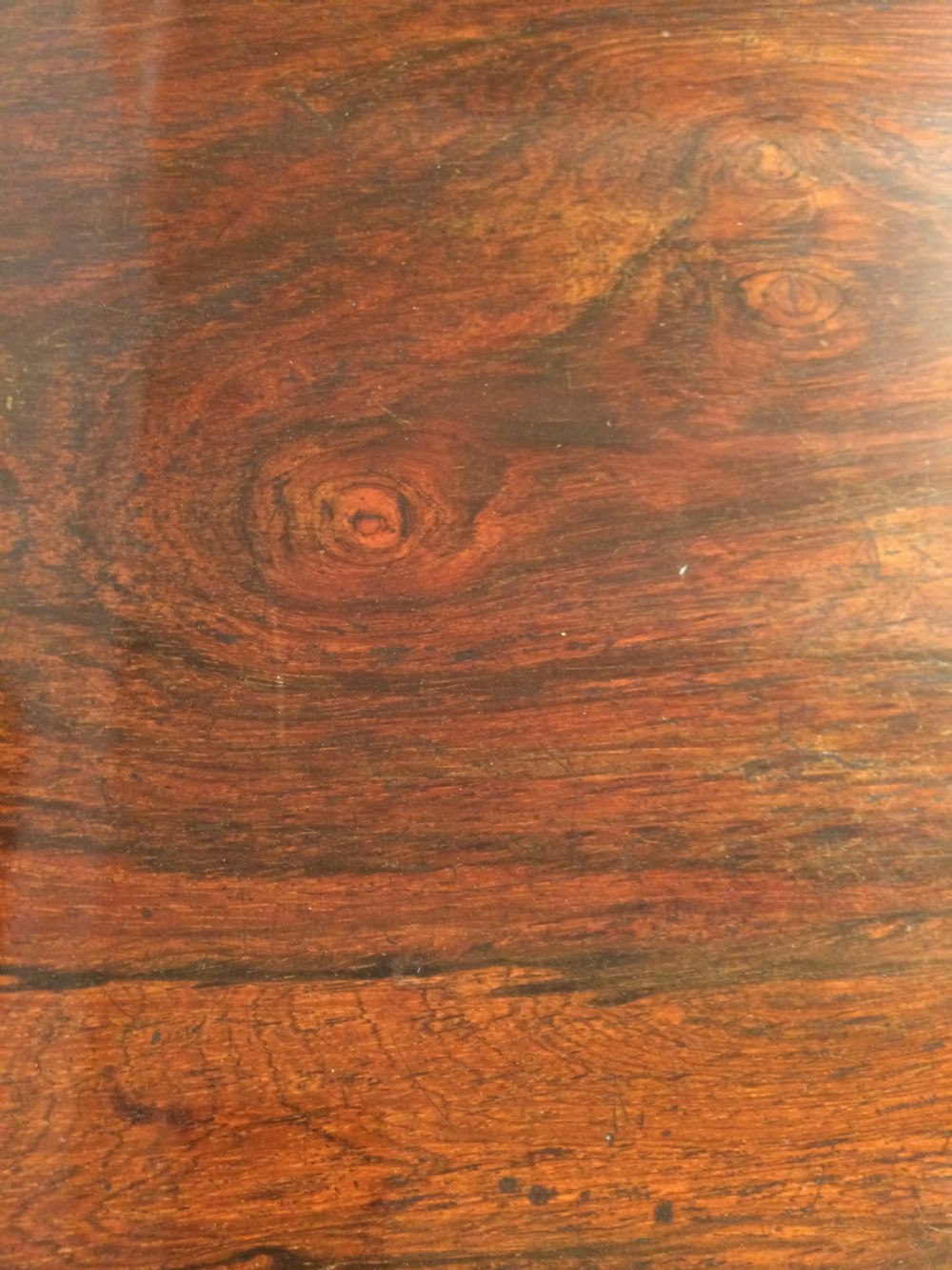 Regency rosewood two door cabinet. View II