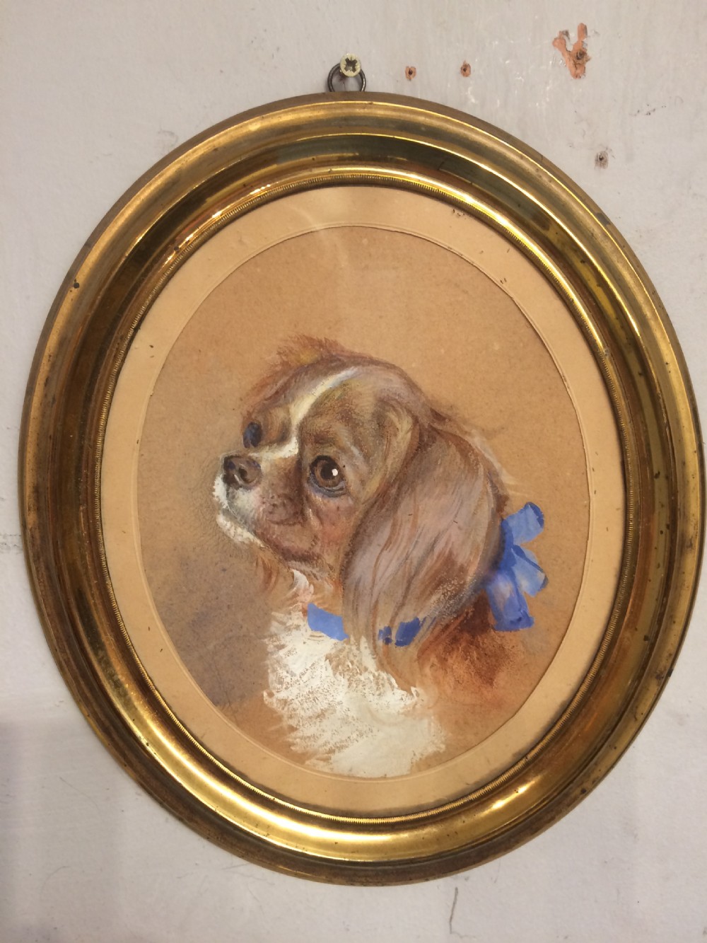 Victorian watercolour of a King Charles spaniel. View IV