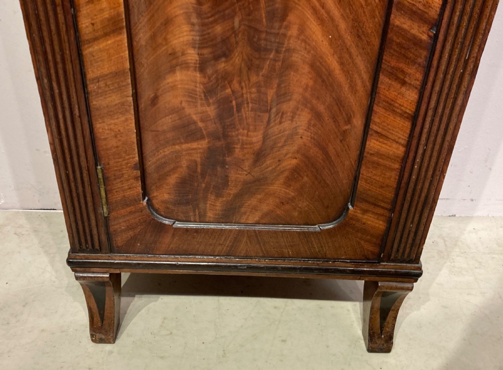 Regency mahogany pedestal cupboard. View VIII