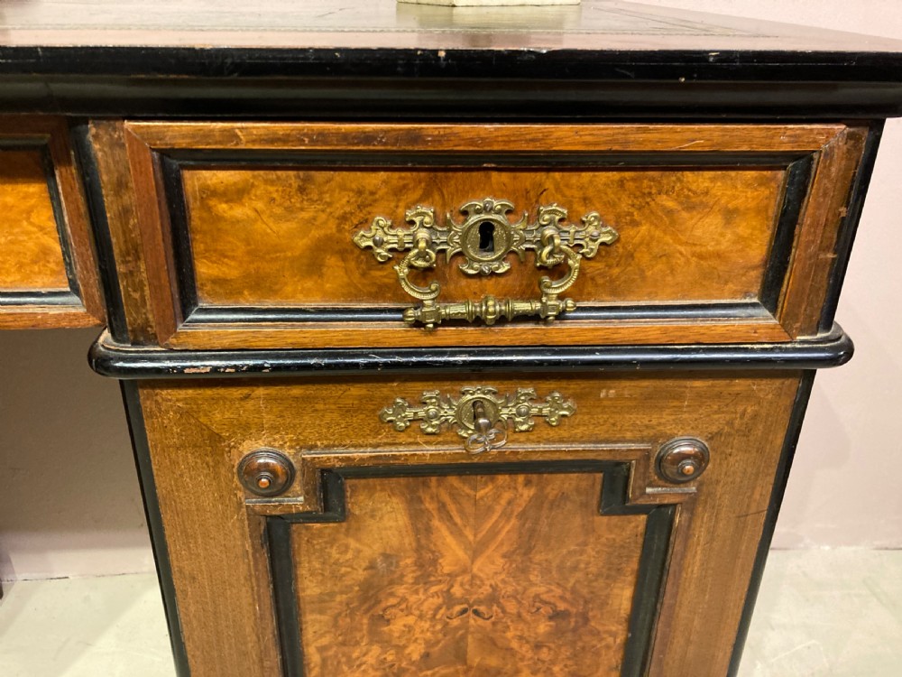 Victorian burr walnut pedestal desk. View II