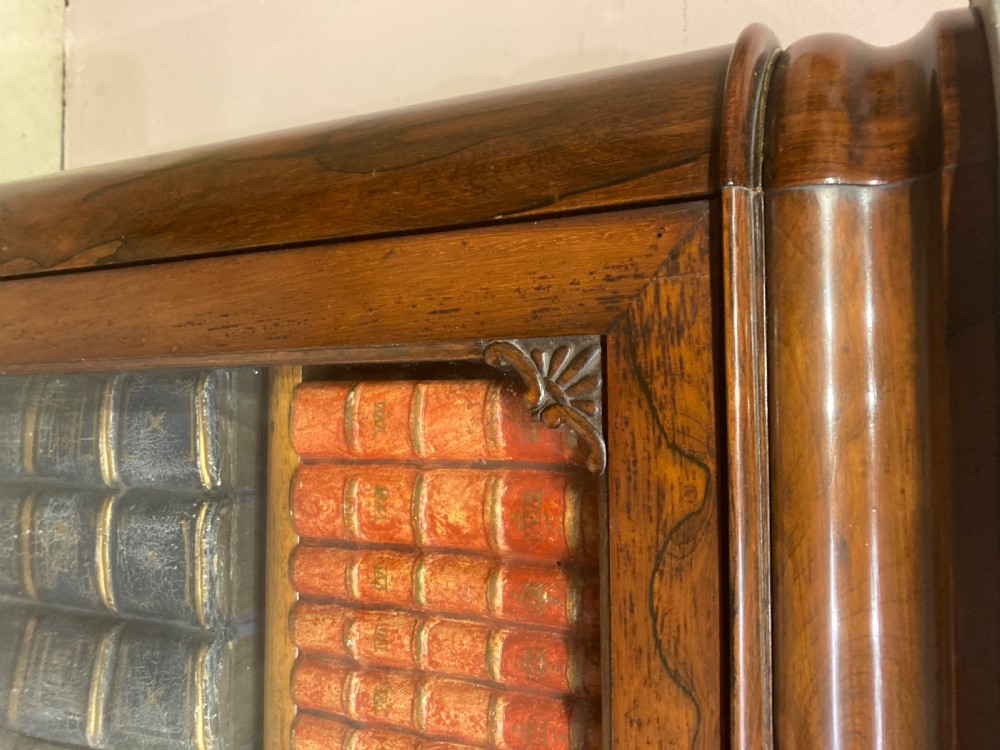 William IV rosewood side cabinet. View II