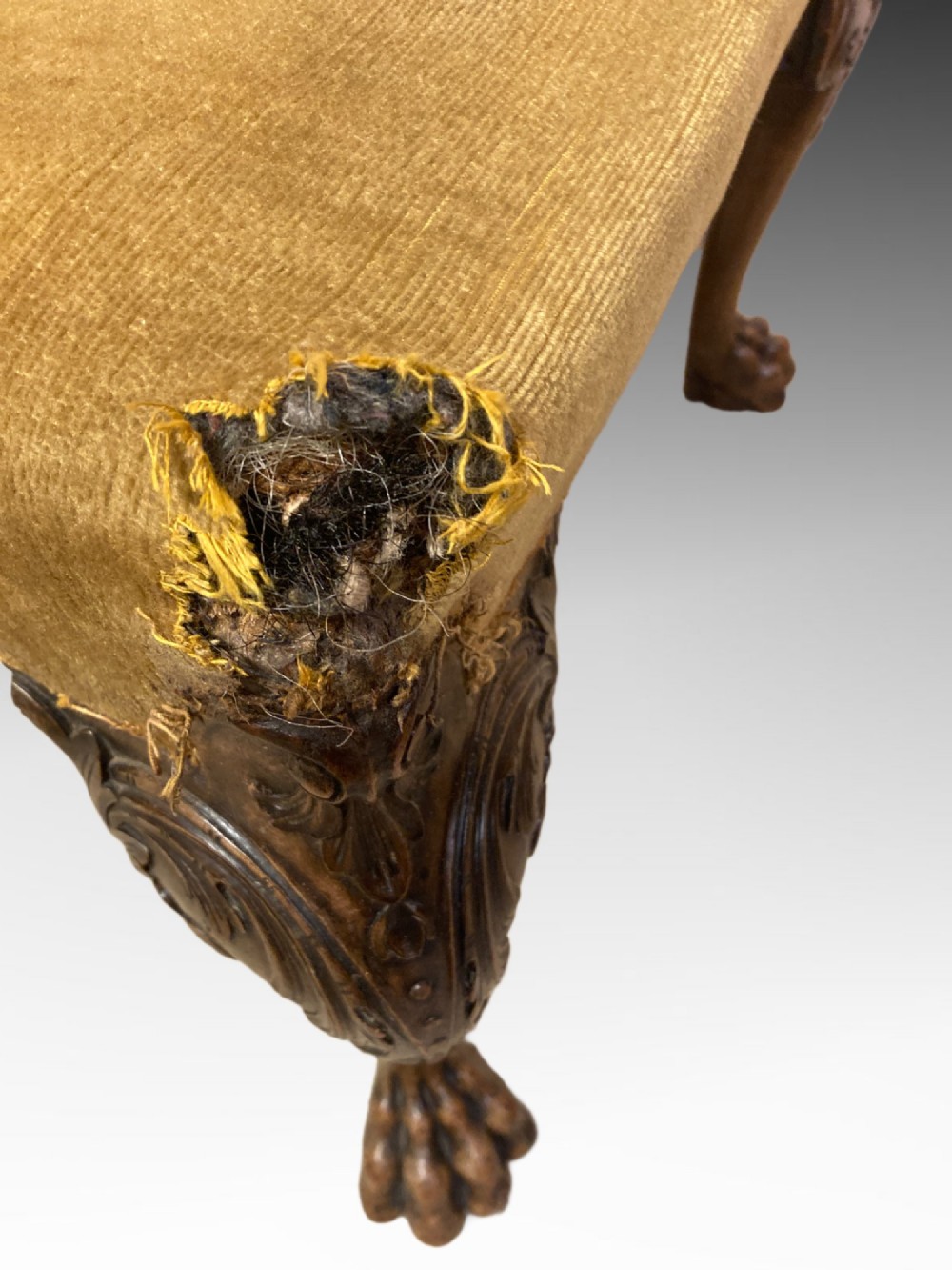 A pair of carved George II style walnut side chairs featuring open shell-form backs, upholstered gold velvet seats, and cabriole legs ending in ball and claw feet. View V
