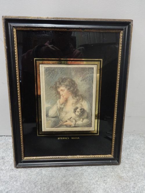 Regency Hand Coloured Engraving 'Stern's Maria'