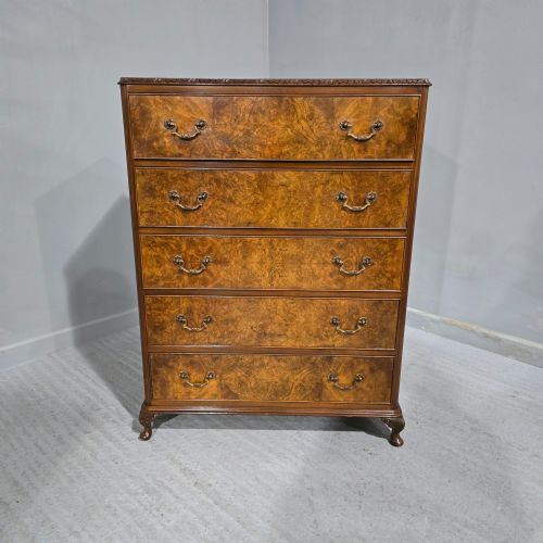 Excellent Quality Burr Walnut Chest of Drawers