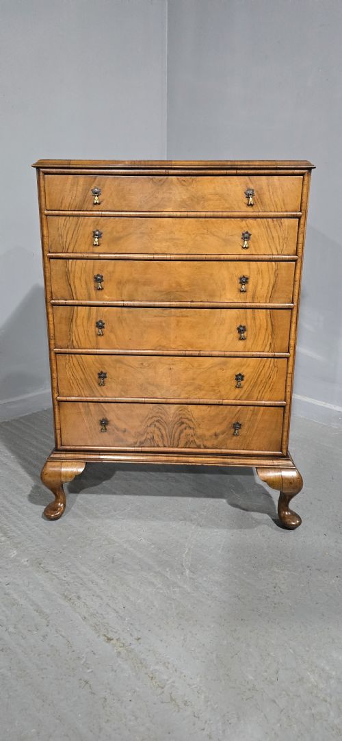 fig 1. A tall antique burr walnut chest of drawers featuring six graduated drawers with brass drop handles and cabriole legs.