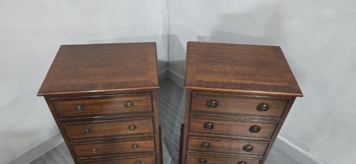 fig 1. Pair Regency Mahogany Bedside Lamp Chests of Drawers