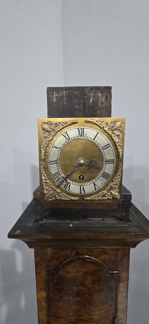 VERY PRETTY BURR WALNUT GRANDAUGHTER LONGCASE CLOCK - ADDITIONAL PHOTO 8