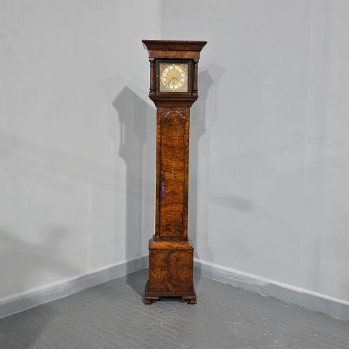 VERY PRETTY BURR WALNUT GRANDAUGHTER LONGCASE CLOCK - ADDITIONAL PHOTO 1