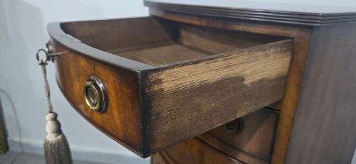 SUPERB REGENCY BOW FRONT TALL CHEST OF DRAWERS - ADDITIONAL PHOTO 5
