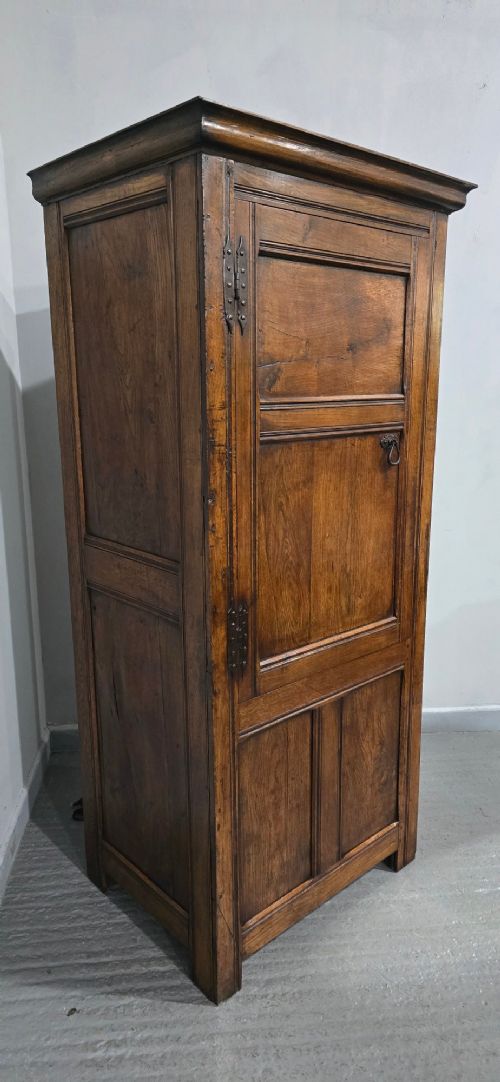 A tall, narrow antique dark oak food cupboard featuring panelled doors, hand-forged iron hinges, a metal ring drop handle, and a top moulded cornice. View IV