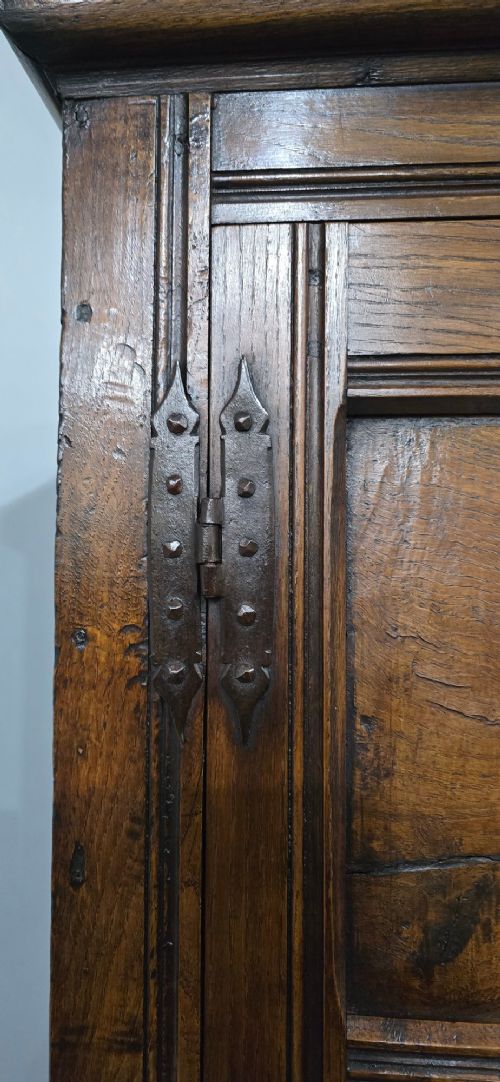A tall, narrow antique dark oak food cupboard featuring panelled doors, hand-forged iron hinges, a metal ring drop handle, and a top moulded cornice. View VI