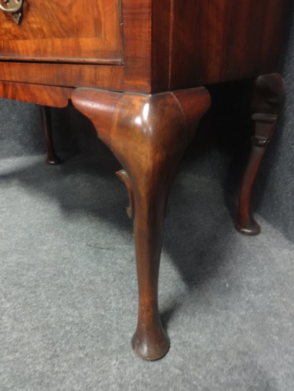 Burr Walnut Double Domed Bookcase View IX