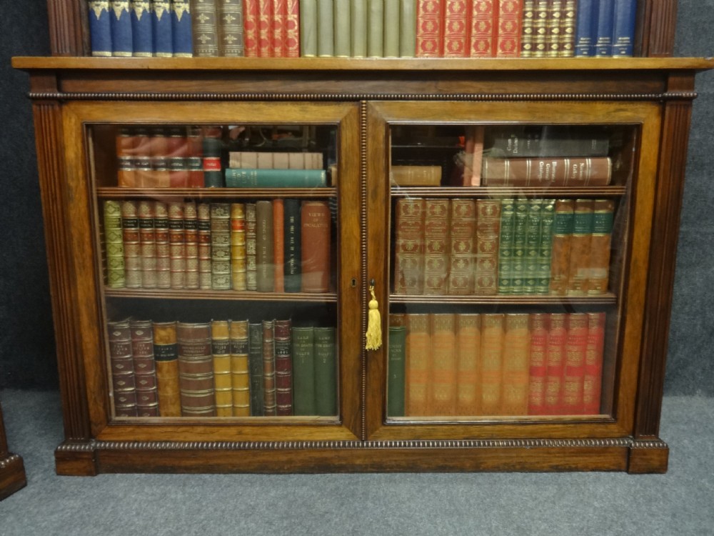 Impressive Pair of Regency Rosewood Library Bookcases View IV