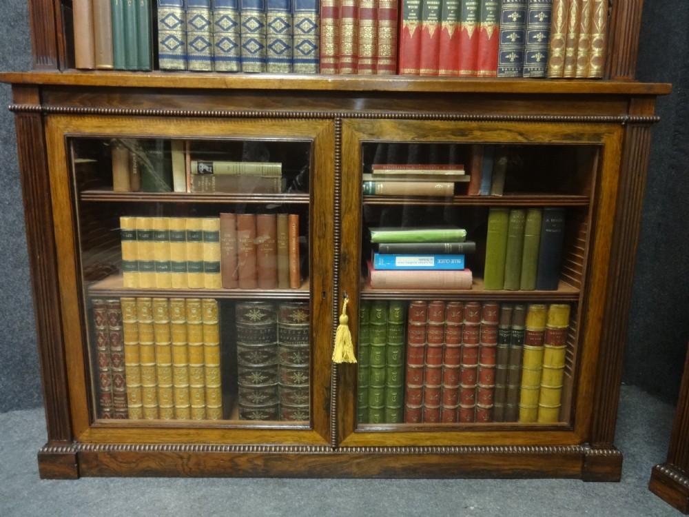 Impressive Pair of Regency Rosewood Library Bookcases View V