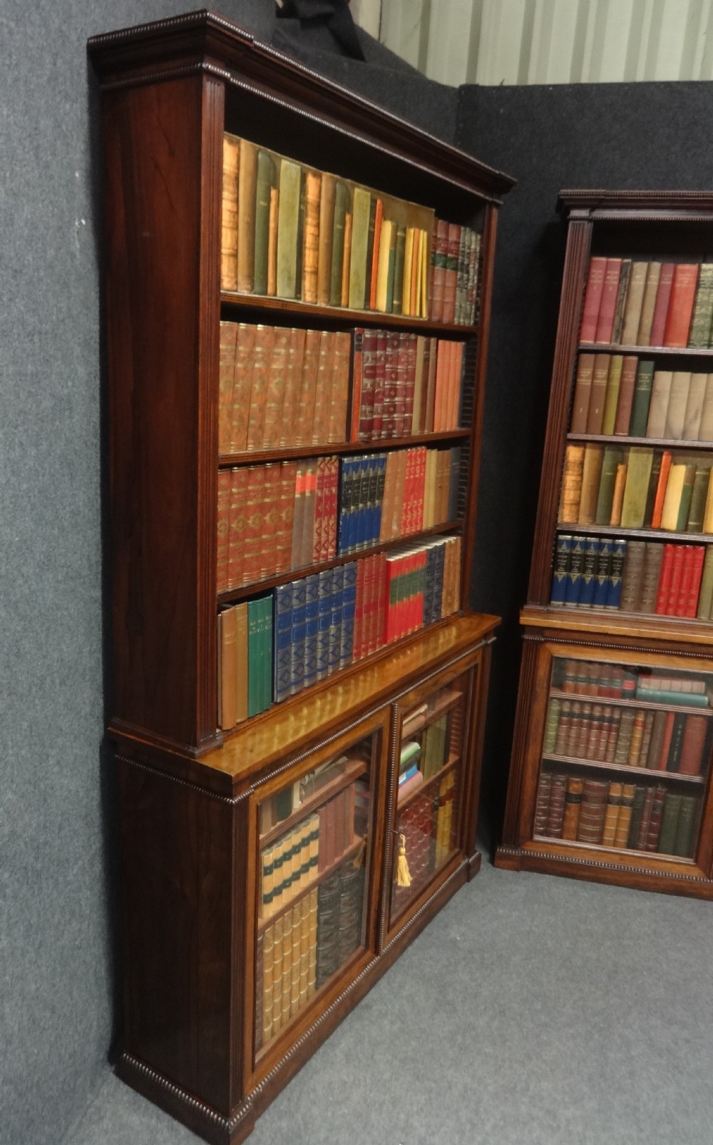 Impressive Pair of Regency Rosewood Library Bookcases View VI