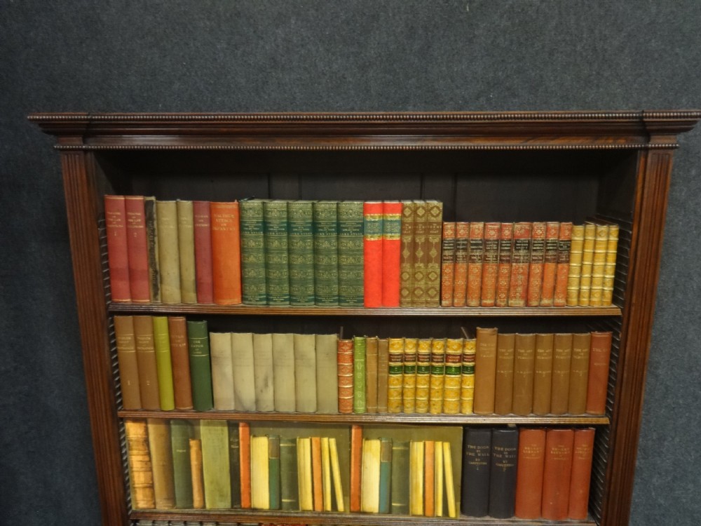 Impressive Pair of Regency Rosewood Library Bookcases View VII