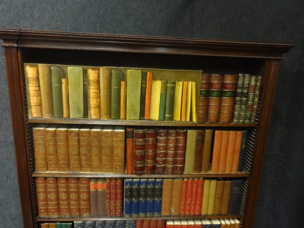 Impressive Pair of Regency Rosewood Library Bookcases View VIII