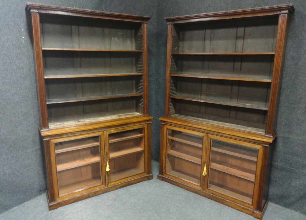 Impressive Pair of Regency Rosewood Library Bookcases View X