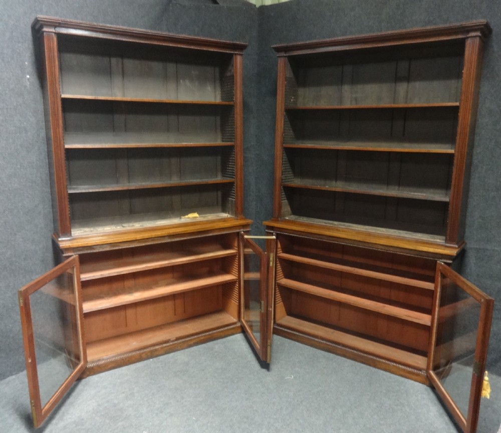 Impressive Pair of Regency Rosewood Library Bookcases View XII
