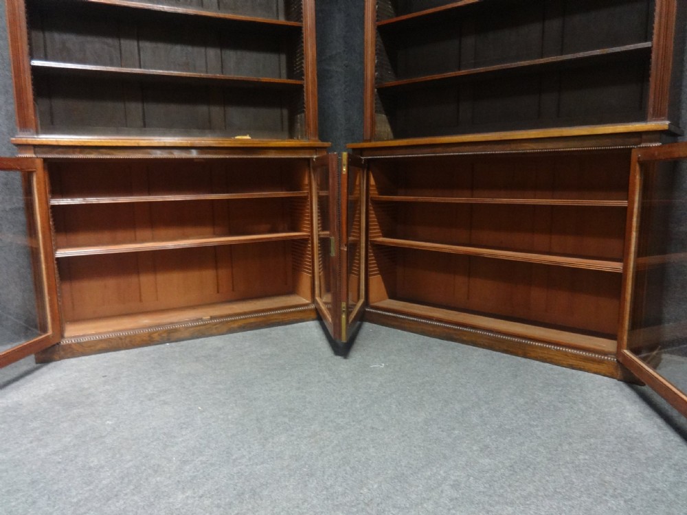 Impressive Pair of Regency Rosewood Library Bookcases View XIII