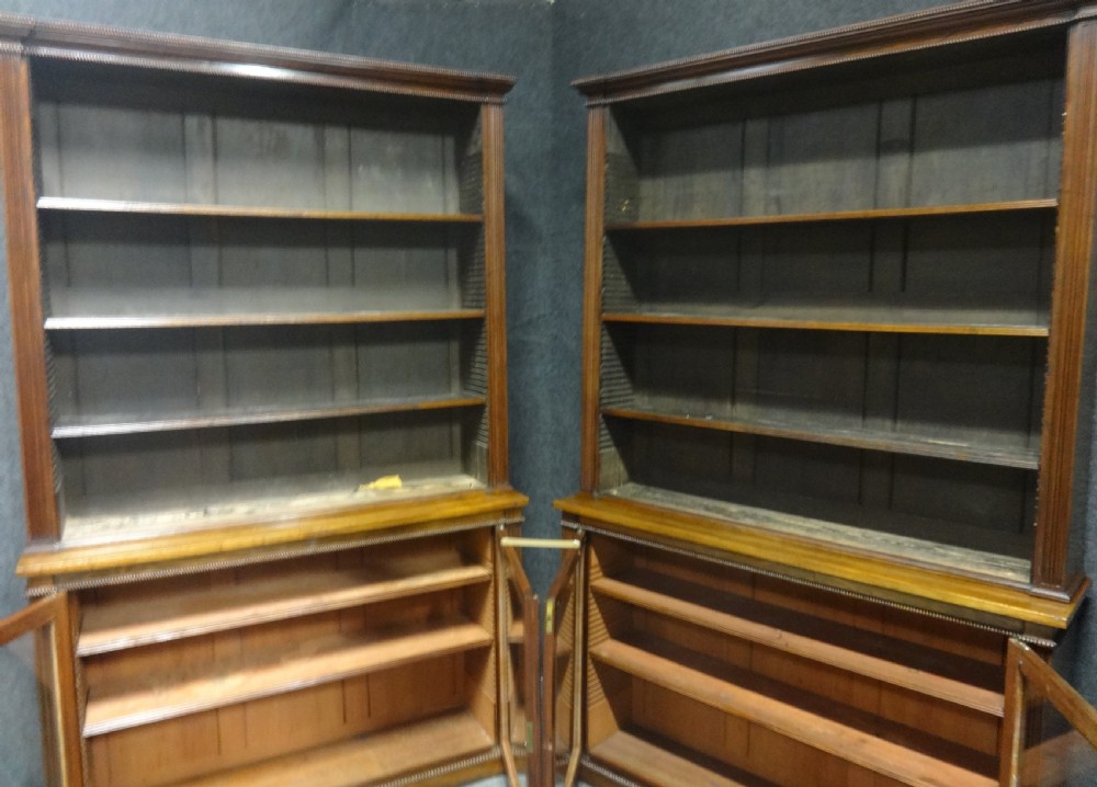 Impressive Pair of Regency Rosewood Library Bookcases View XIV