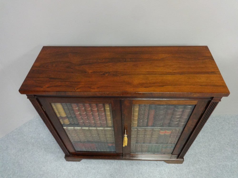 Very Good Regency Rosewood Two Door Bookcase View III