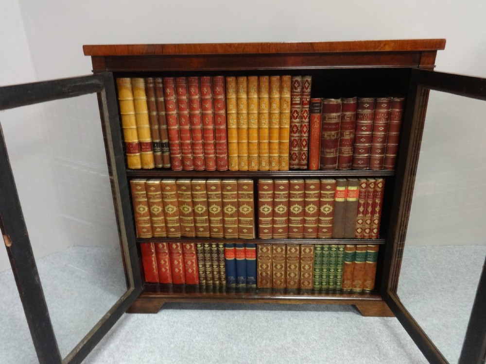 Very Good Regency Rosewood Two Door Bookcase View IV