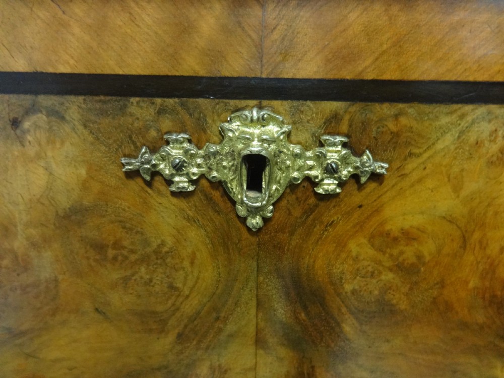 Superb Burr Walnut Tall Chest of Drawers View III