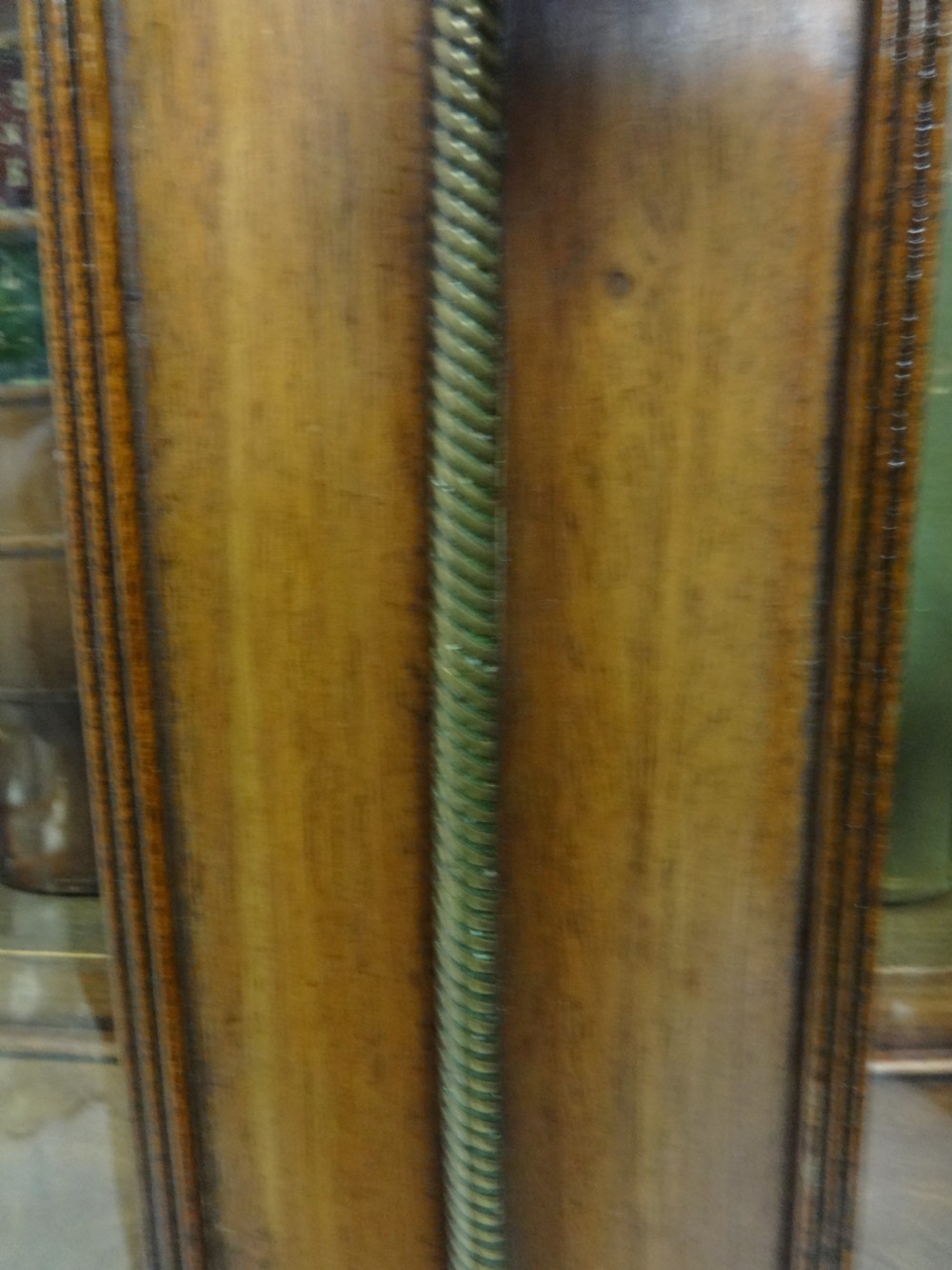 Very Nice Regency Bow Front Bookcase View IV