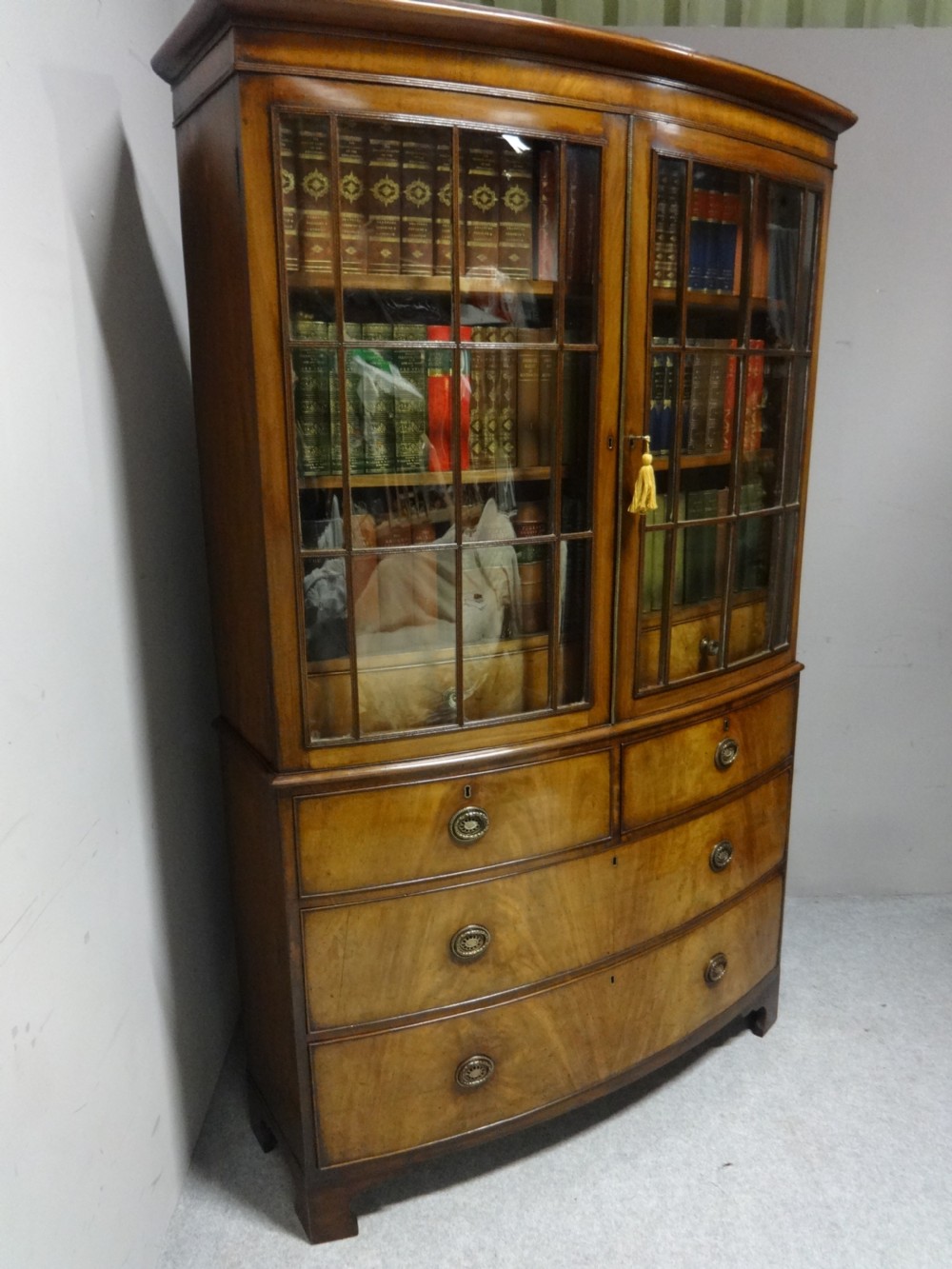 Very Nice Regency Bow Front Bookcase View IX