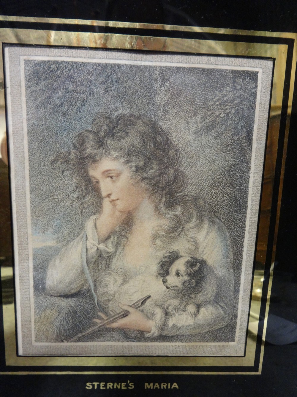 Regency Hand Coloured Engraving 'Stern's Maria' View II