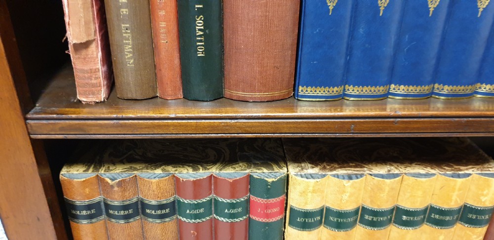 Excellent Quality Open Bookcase View III