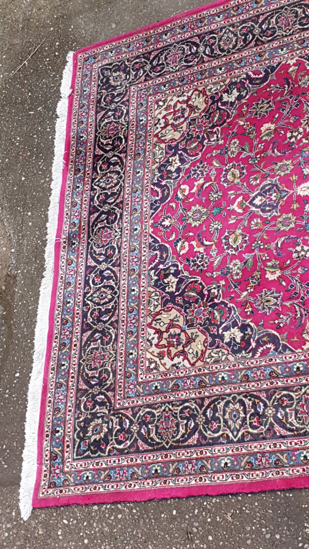 Excellent Quality Wool Carpet View V