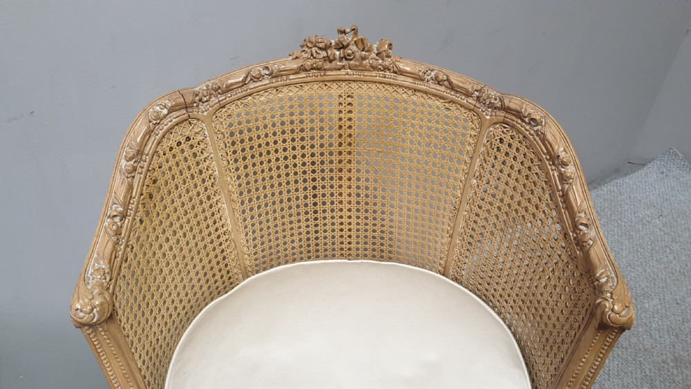 Very Nice French Bergere Tub Chair View II