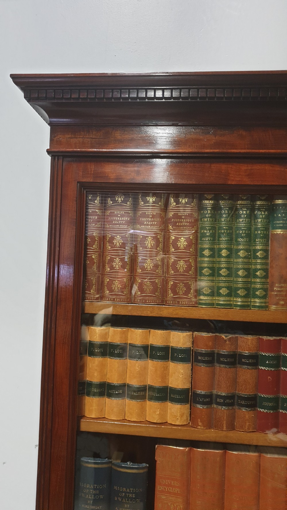 Top  Quality Bookcase of Small Proportions View V