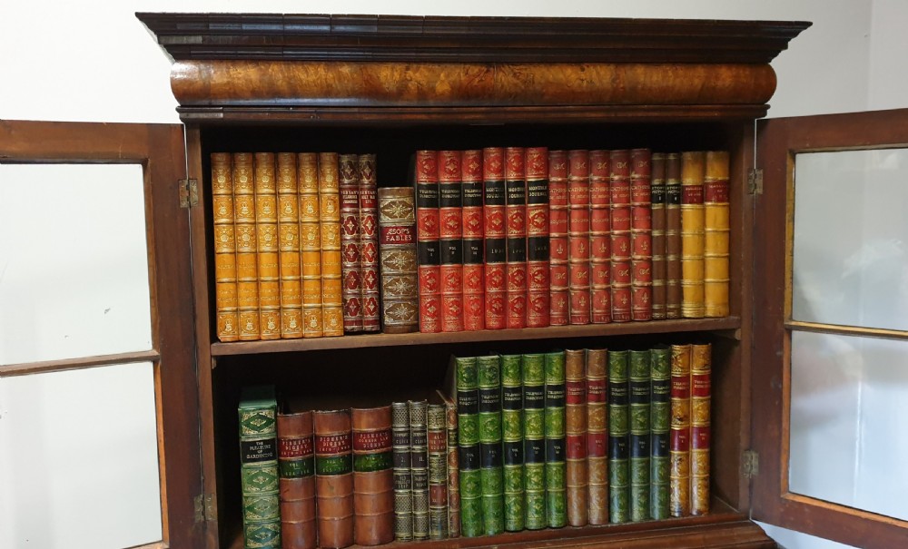 Superb Queen Anne Walnut Bookcase View XII