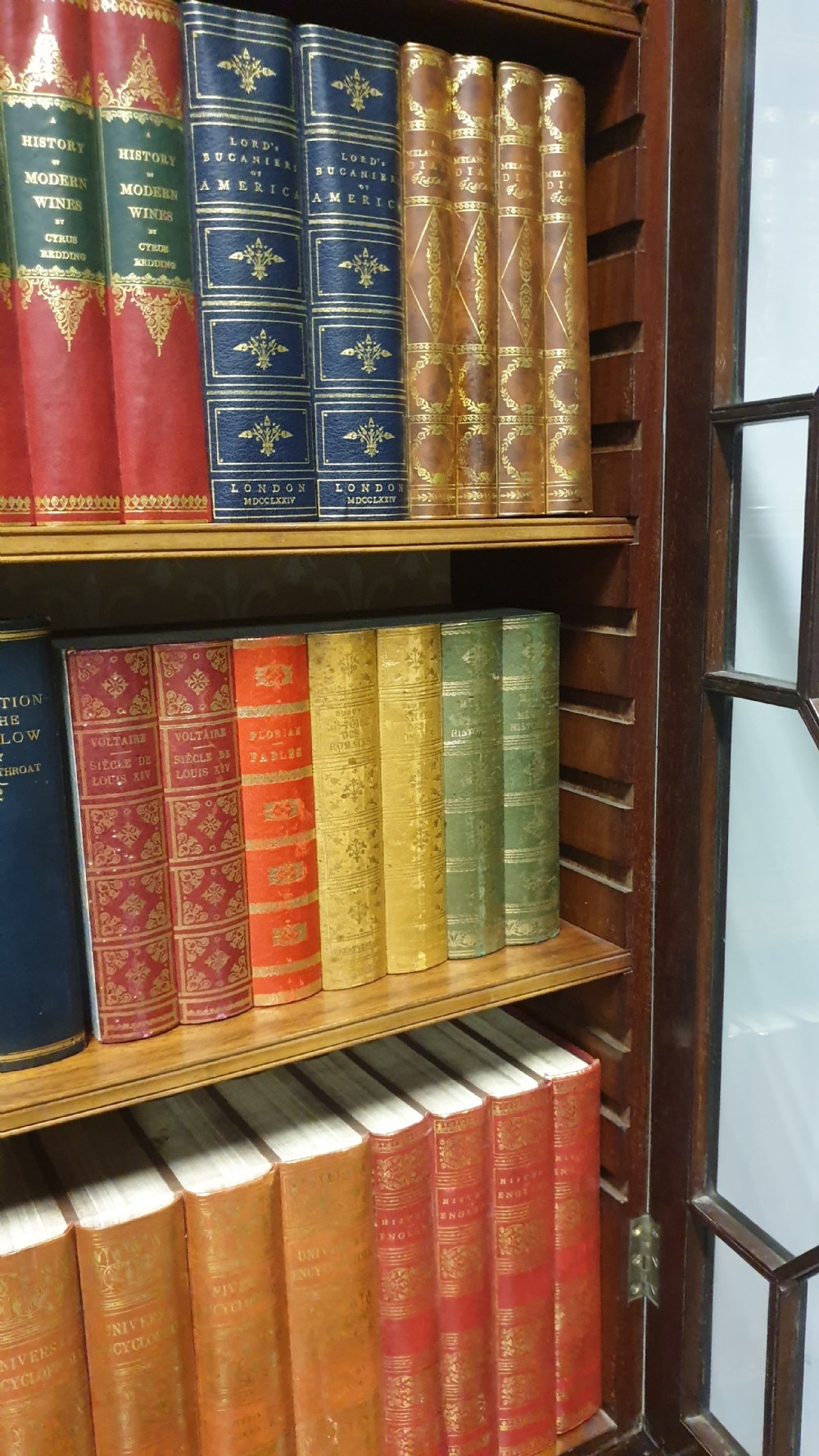 Edwards and Roberts Mahogany Bookcase View XI