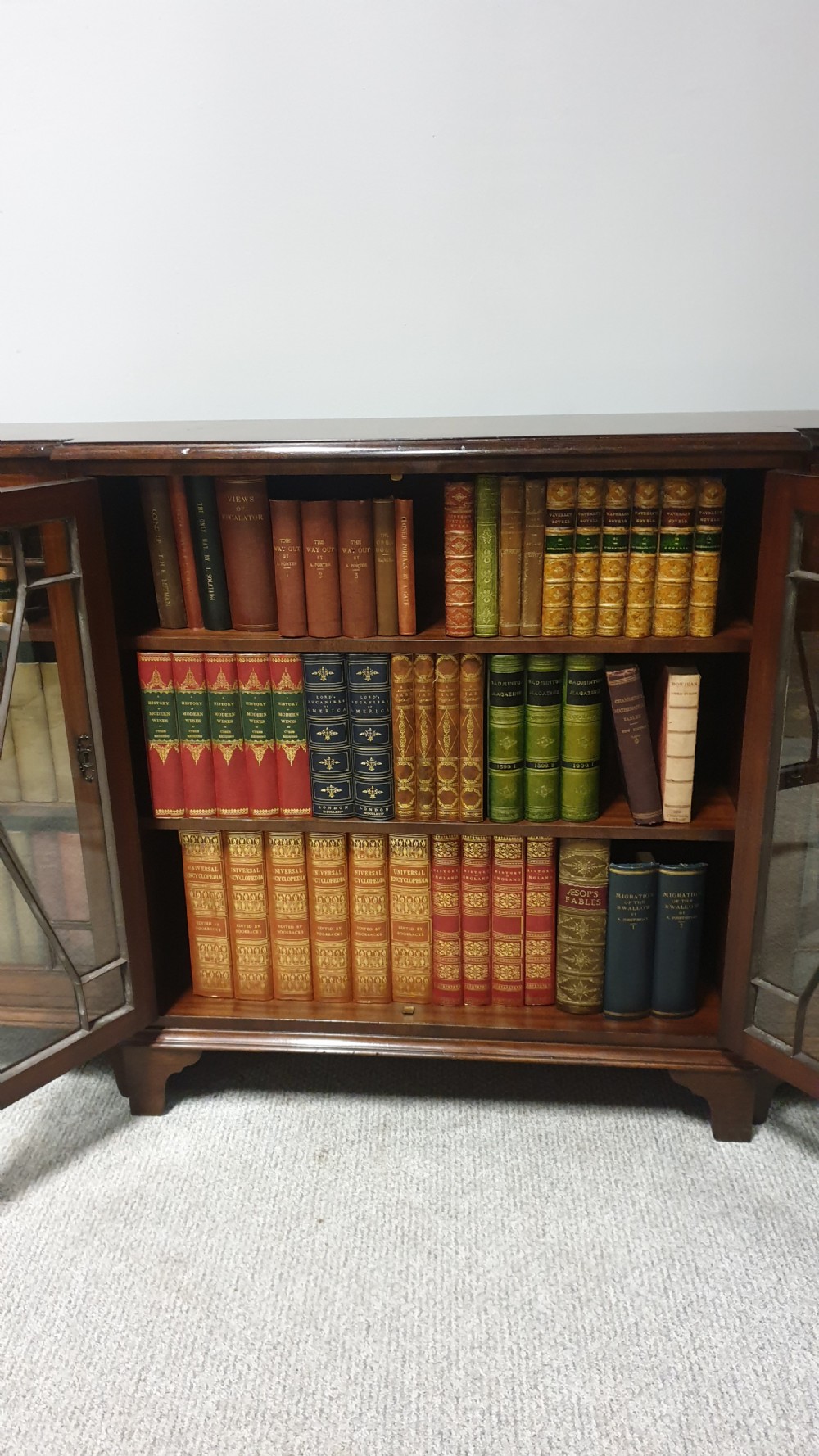 Mahogany Low Bookcase View III