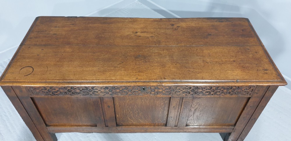 Georgian Oak Coffer View III