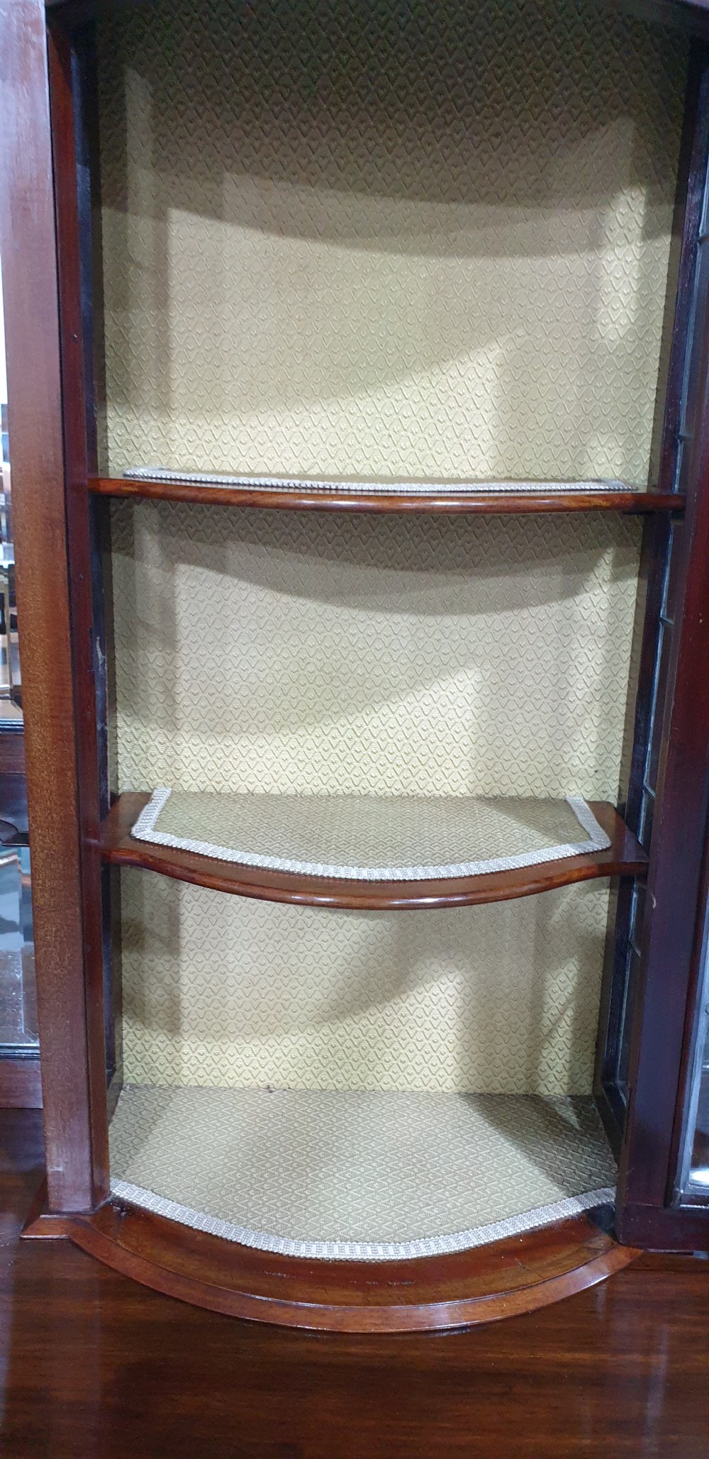 Super Art Noveau Display Cabinet View IX