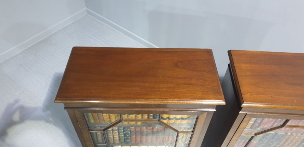 Wonderful Pair Mahogany Bookcases View V