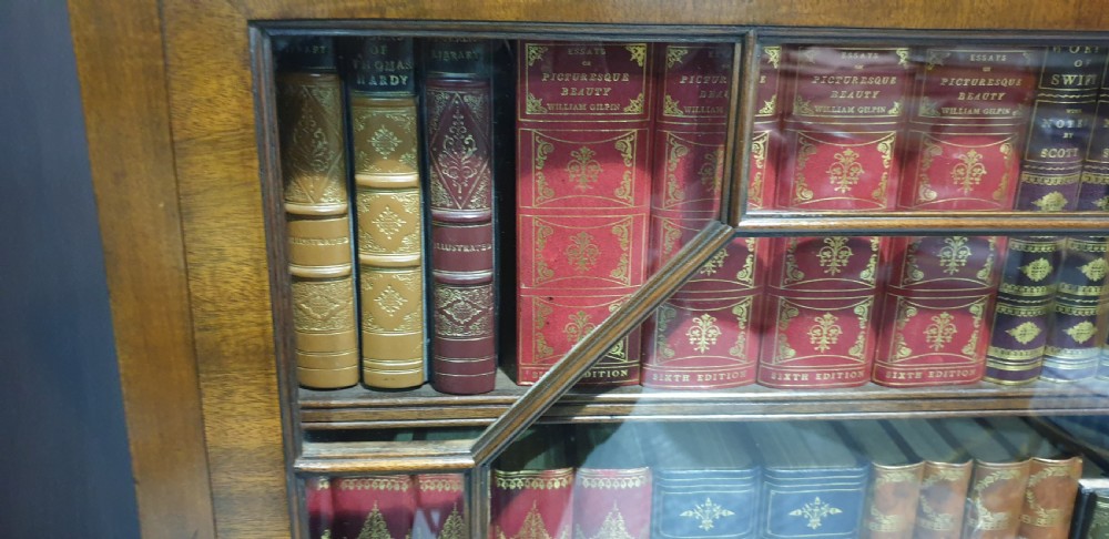 Wonderful Pair Mahogany Bookcases View VIII