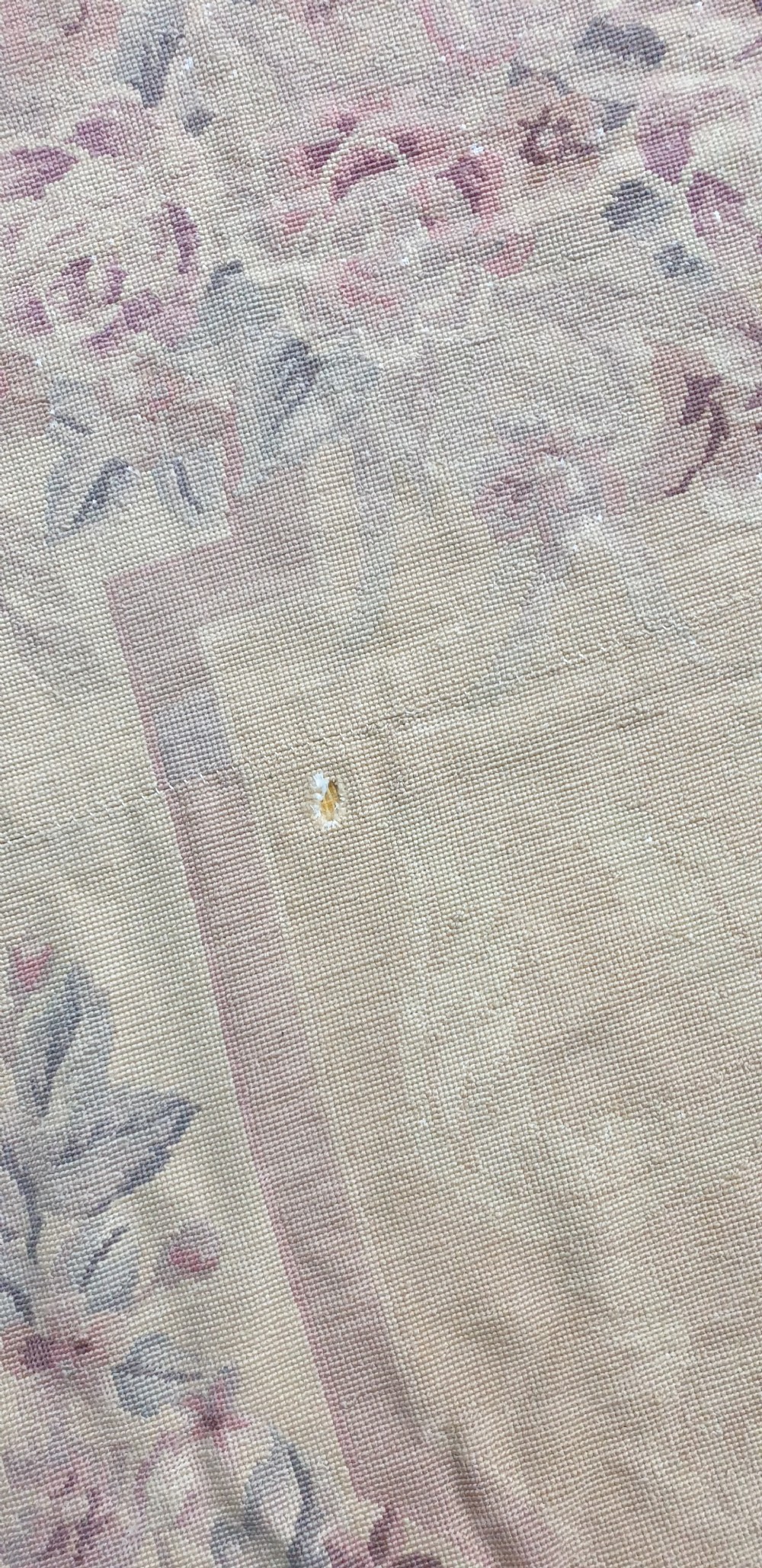 Large FrenchPetit Point Tapestry View VIII