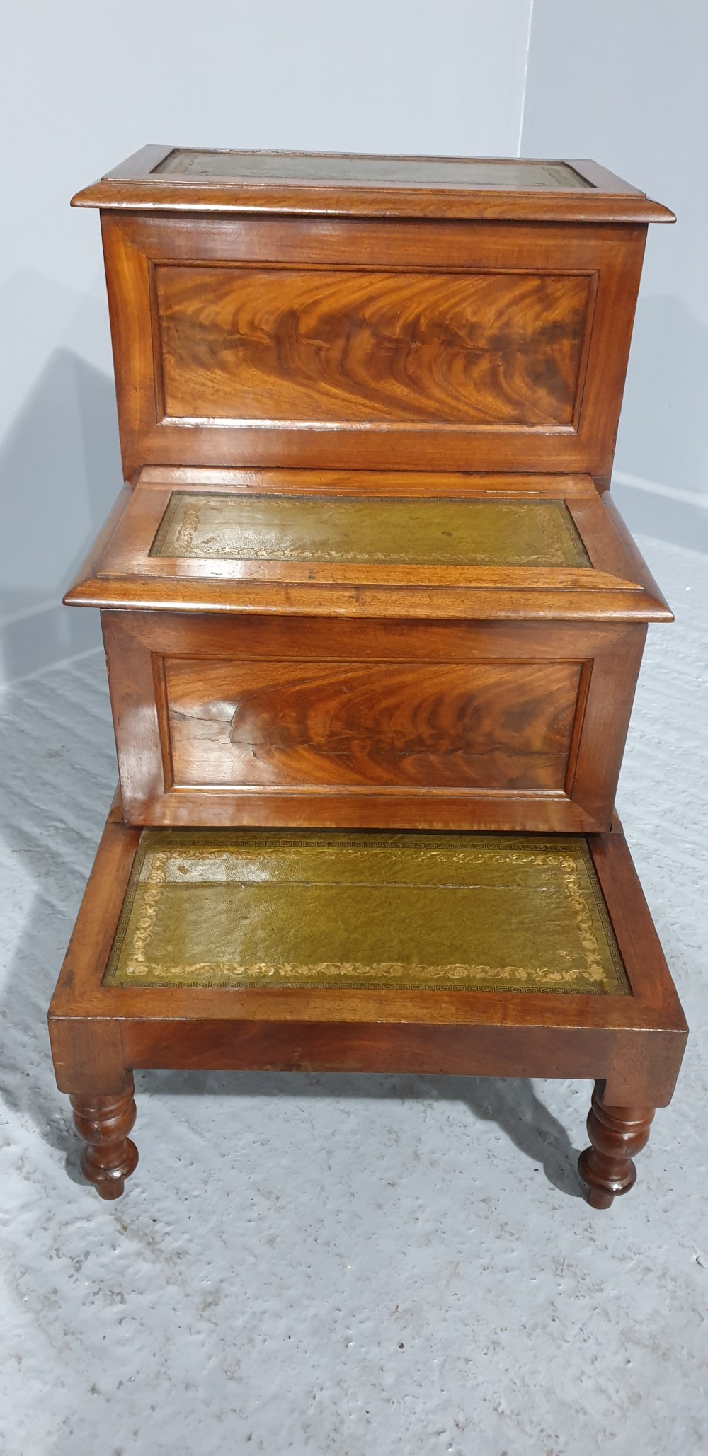 Victorian Mahogany Library Steps View III