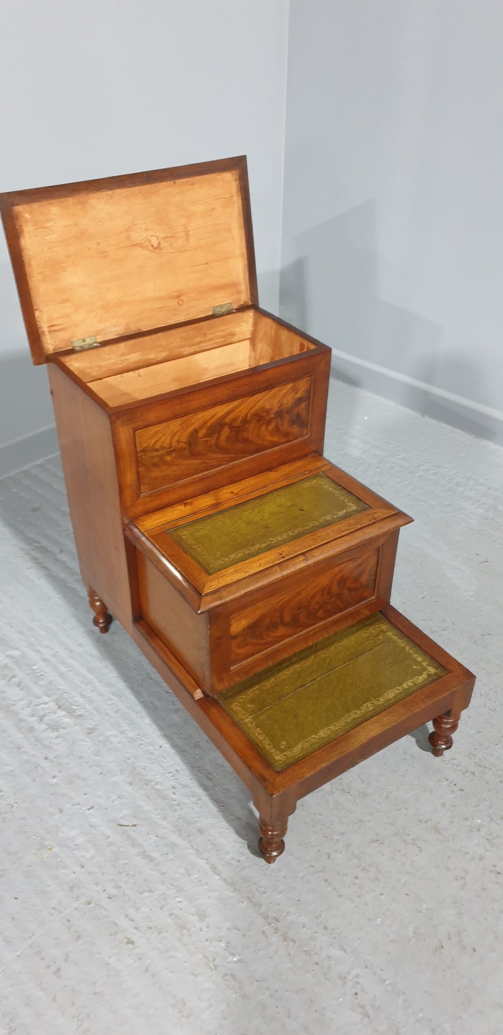 Victorian Mahogany Library Steps View VIII