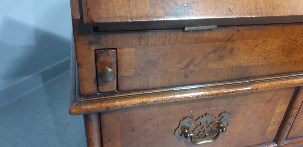 Super Burr Walnut Queen Anne Bureau View IX