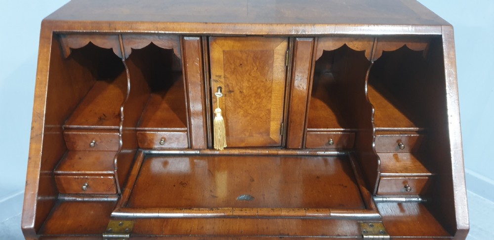 Super Burr Walnut Queen Anne Bureau View XIII