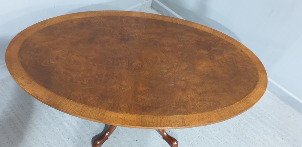 Oval Burr Walnut Coffee Table View IV