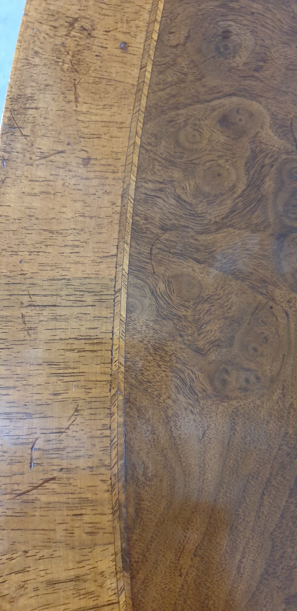 Oval Burr Walnut Coffee Table View VI